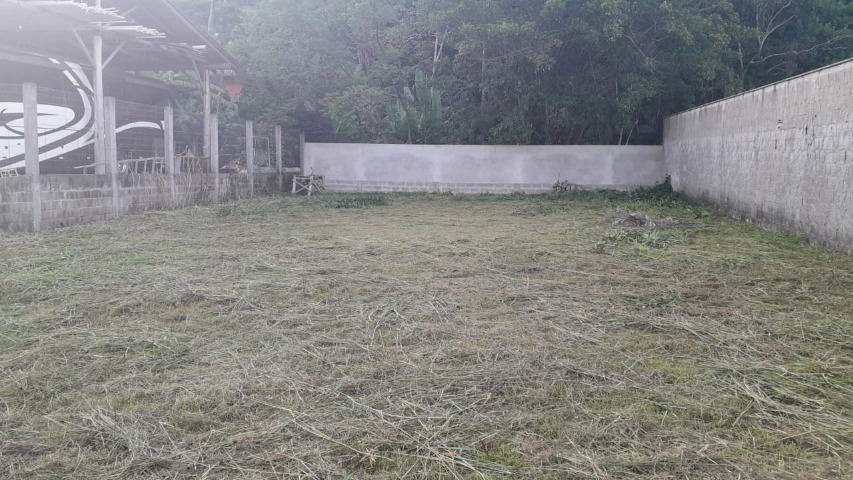 i46628_foto8